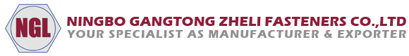 مثبتات Ningbo Gangtong Zheli: أكثر من 20 عامًا من التصنيع الاحترافي، وتمكين سلسلة توريد أدوات التثبيت العالمية
